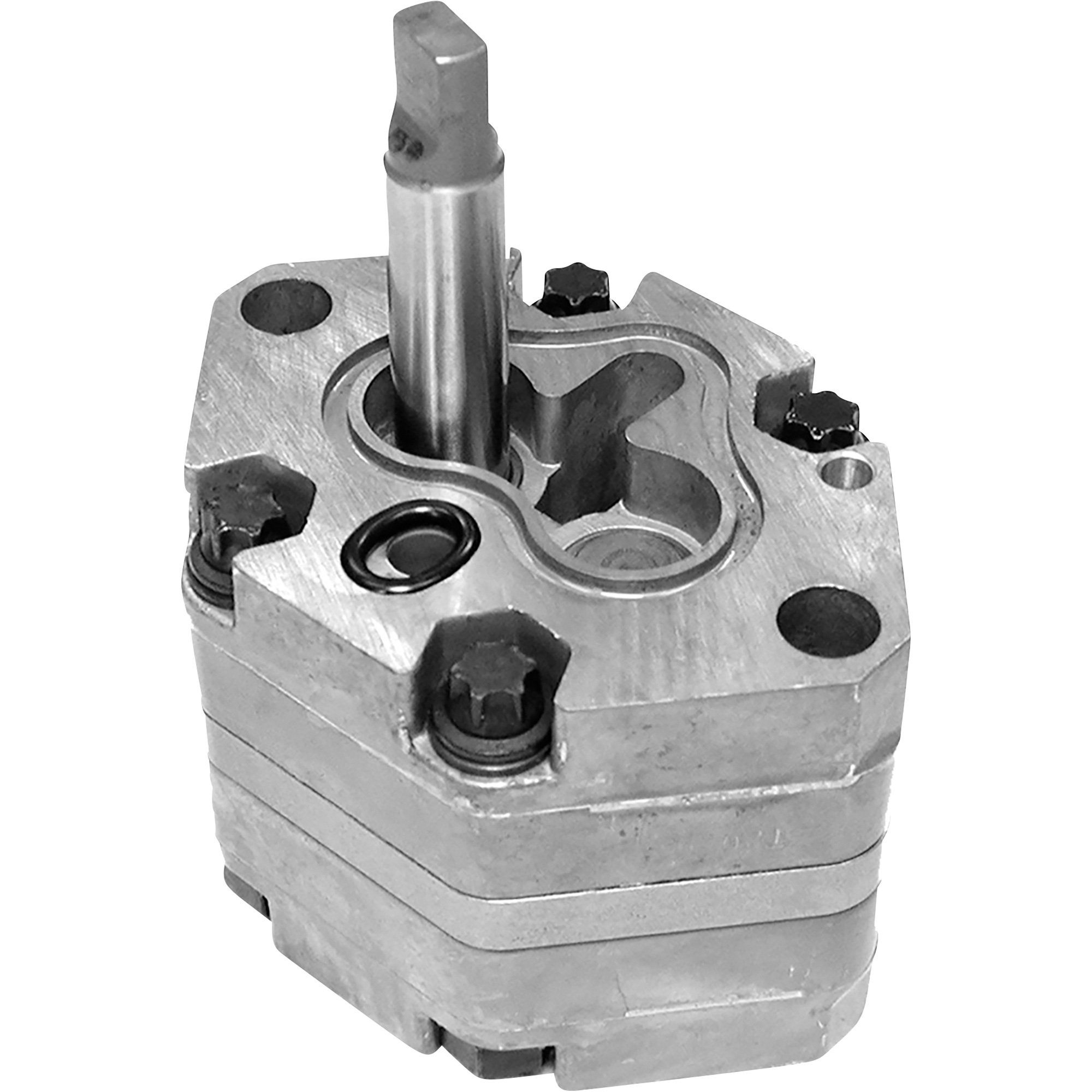Pumps + Motors